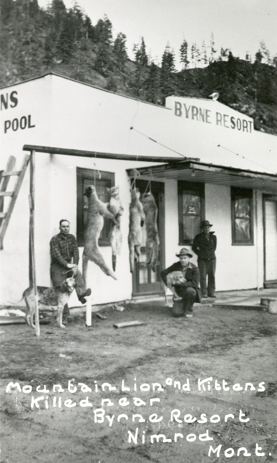 Byrne Resort at Nimrod Warm Springs